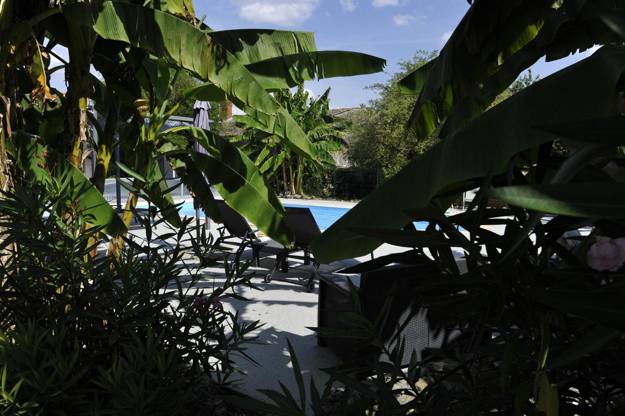 Gites Jardin-Darcy - Piscine Au Sel Bois Екстериор снимка